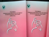 PEDOMAN PEMANTAUAAN WILAYAH SETEMPAT KESEHATAN IBU DAN ANAK (PWS-KIA)