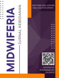 Image of E-Midwiferia: Jurnal Kebidanan