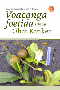 Voacanga Foetida Sebagai Obat Kanker